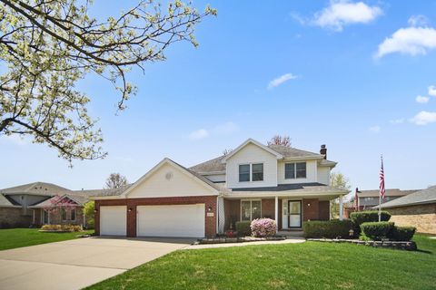 2870 Gannet Lane New Lenox IL 60451