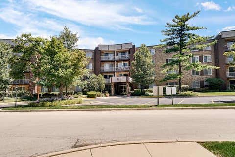 Tiny photo for 245 S Park Lane #419, Palatine, IL 60074 (MLS # 12722055)