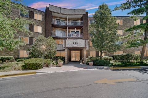 Photo of 245 S Park Lane #419, Palatine, IL 60074 (MLS # 12722055)
