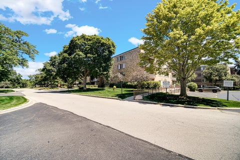 Tiny photo for 245 S Park Lane #419, Palatine, IL 60074 (MLS # 12722055)