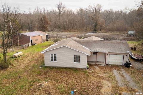 Tiny photo for 18662 Liberty School Road, Thompsonville, IL 62890 (MLS # EB460690)