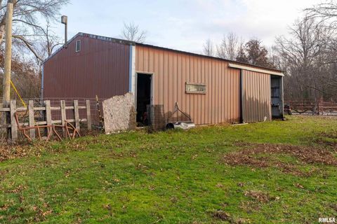 Tiny photo for 18662 Liberty School Road, Thompsonville, IL 62890 (MLS # EB460690)