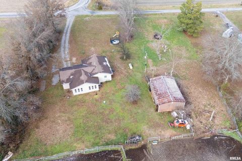 Tiny photo for 18662 Liberty School Road, Thompsonville, IL 62890 (MLS # EB460690)