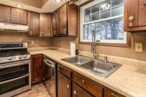 Tiny photo for 18662 Liberty School Road, Thompsonville, IL 62890 (MLS # EB460690)