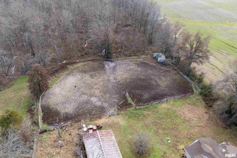 Tiny photo for 18662 Liberty School Road, Thompsonville, IL 62890 (MLS # EB460690)