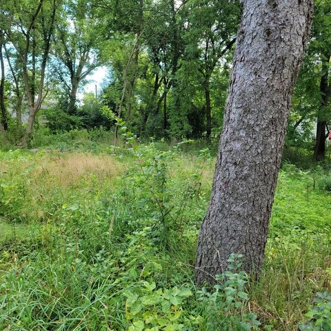 25586 W High Street W Wauconda IL 60084