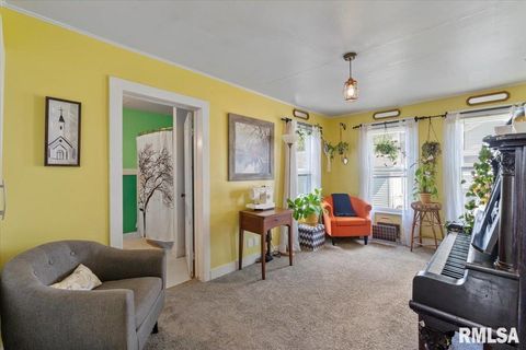 Tiny photo for 623 E PARK Street, Geneseo, IL 61254 (MLS # QC4267015)