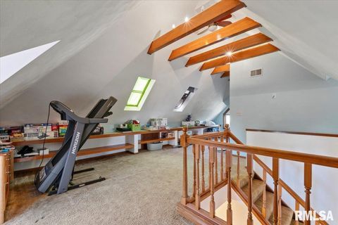 Tiny photo for 623 E PARK Street, Geneseo, IL 61254 (MLS # QC4267015)