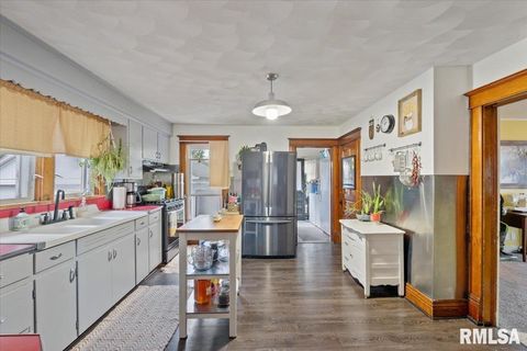 Tiny photo for 623 E PARK Street, Geneseo, IL 61254 (MLS # QC4267015)