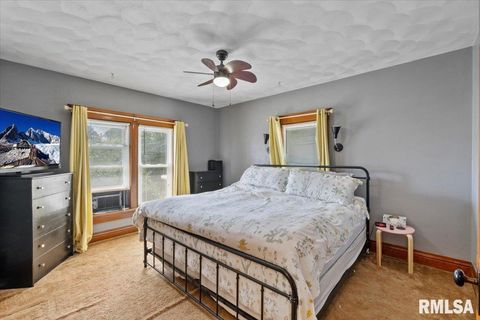 Tiny photo for 623 E PARK Street, Geneseo, IL 61254 (MLS # QC4267015)