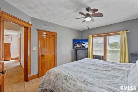 Tiny photo for 623 E PARK Street, Geneseo, IL 61254 (MLS # QC4267015)