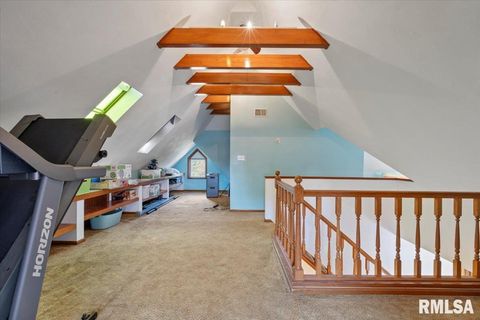 Tiny photo for 623 E PARK Street, Geneseo, IL 61254 (MLS # QC4267015)