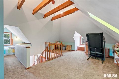 Tiny photo for 623 E PARK Street, Geneseo, IL 61254 (MLS # QC4267015)