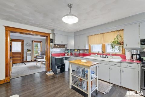 Tiny photo for 623 E PARK Street, Geneseo, IL 61254 (MLS # QC4267015)