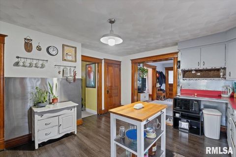 Tiny photo for 623 E PARK Street, Geneseo, IL 61254 (MLS # QC4267015)