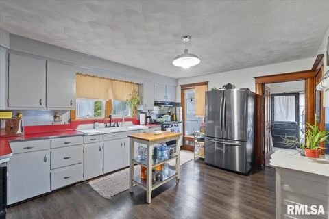 Tiny photo for 623 E PARK Street, Geneseo, IL 61254 (MLS # QC4267015)