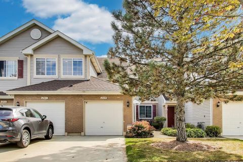 Photo of 239 Camel Bend Court, Schaumburg, IL 60194 (MLS # 12483326)