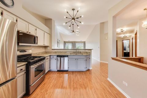 Tiny photo for 239 Camel Bend Court, Schaumburg, IL 60194 (MLS # 12483326)