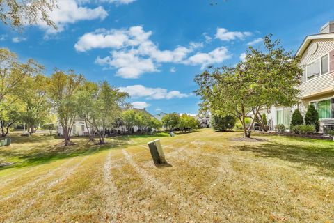 Tiny photo for 239 Camel Bend Court, Schaumburg, IL 60194 (MLS # 12483326)