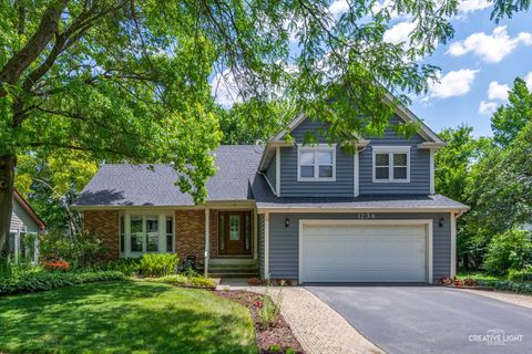 Photo of 1234 Oakton Lane, Naperville, IL 60540 (MLS # 12659736)