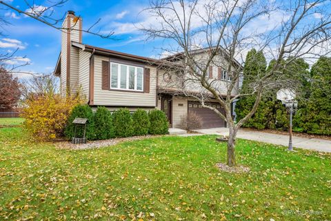 Photo of 20762 S Ellen Lane, Frankfort, IL 60423 (MLS # 12521812)