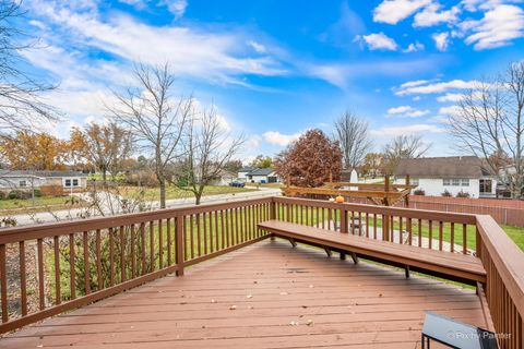 Tiny photo for 20762 S Ellen Lane, Frankfort, IL 60423 (MLS # 12521812)