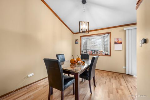 Tiny photo for 20762 S Ellen Lane, Frankfort, IL 60423 (MLS # 12521812)