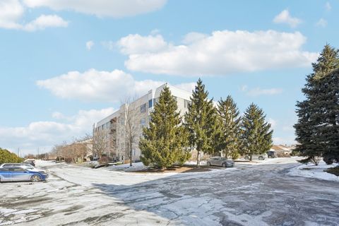 Tiny photo for 10720 S Washington Street #406, Oak Lawn, IL 60453 (MLS # 12555896)