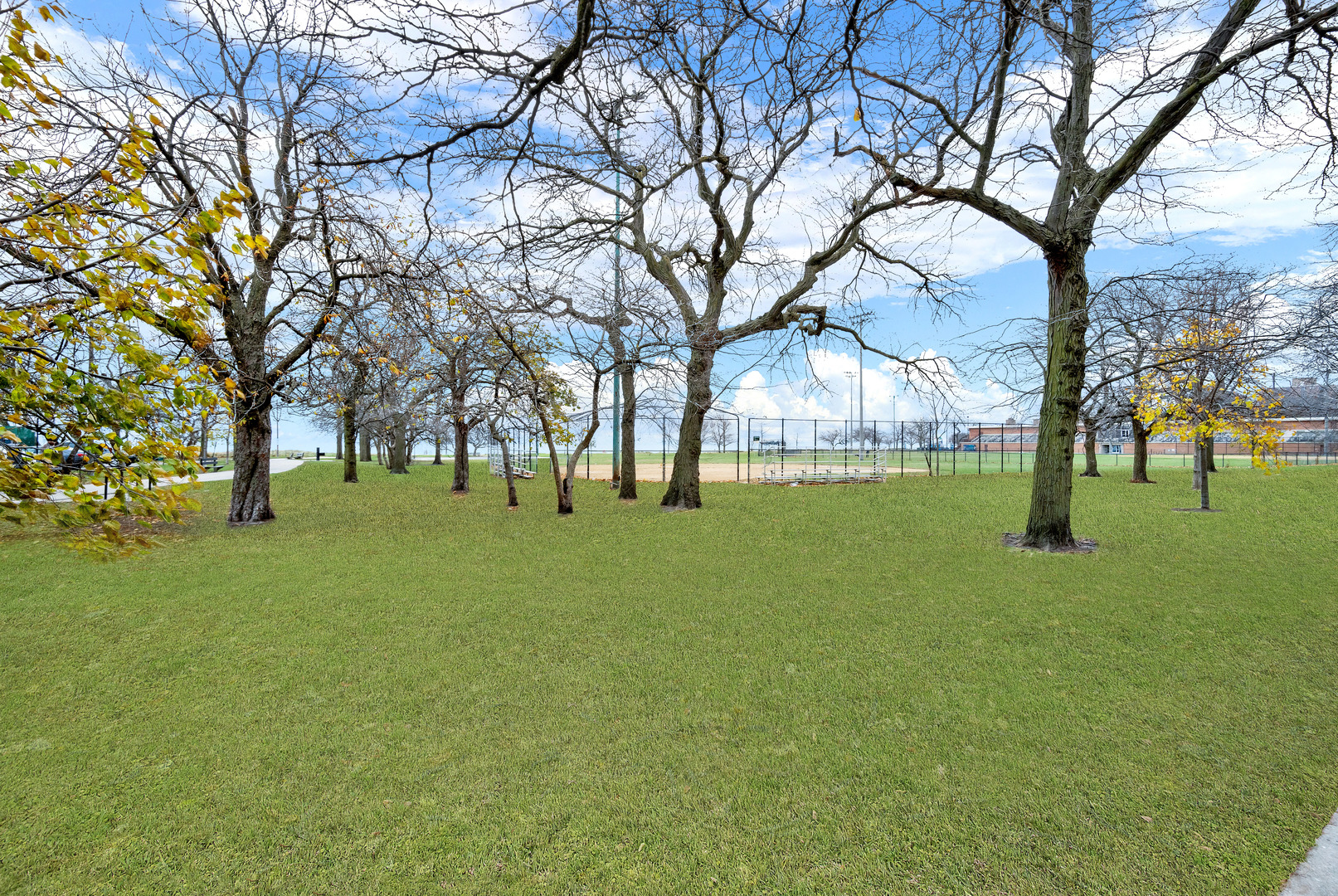 7120 N Sheridan Road 216