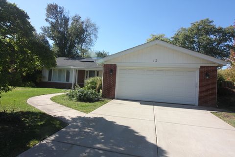 Tiny photo for 12 S Princeton Court, Arlington Heights, IL 60005 (MLS # 12501616)