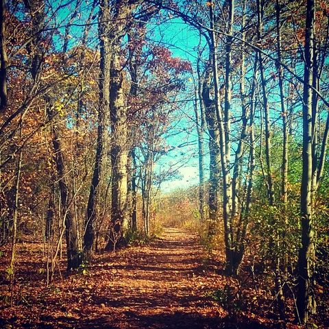 Tiny photo for 110 Day Street #101, Bloomingdale, IL 60108 (MLS # 12572440)