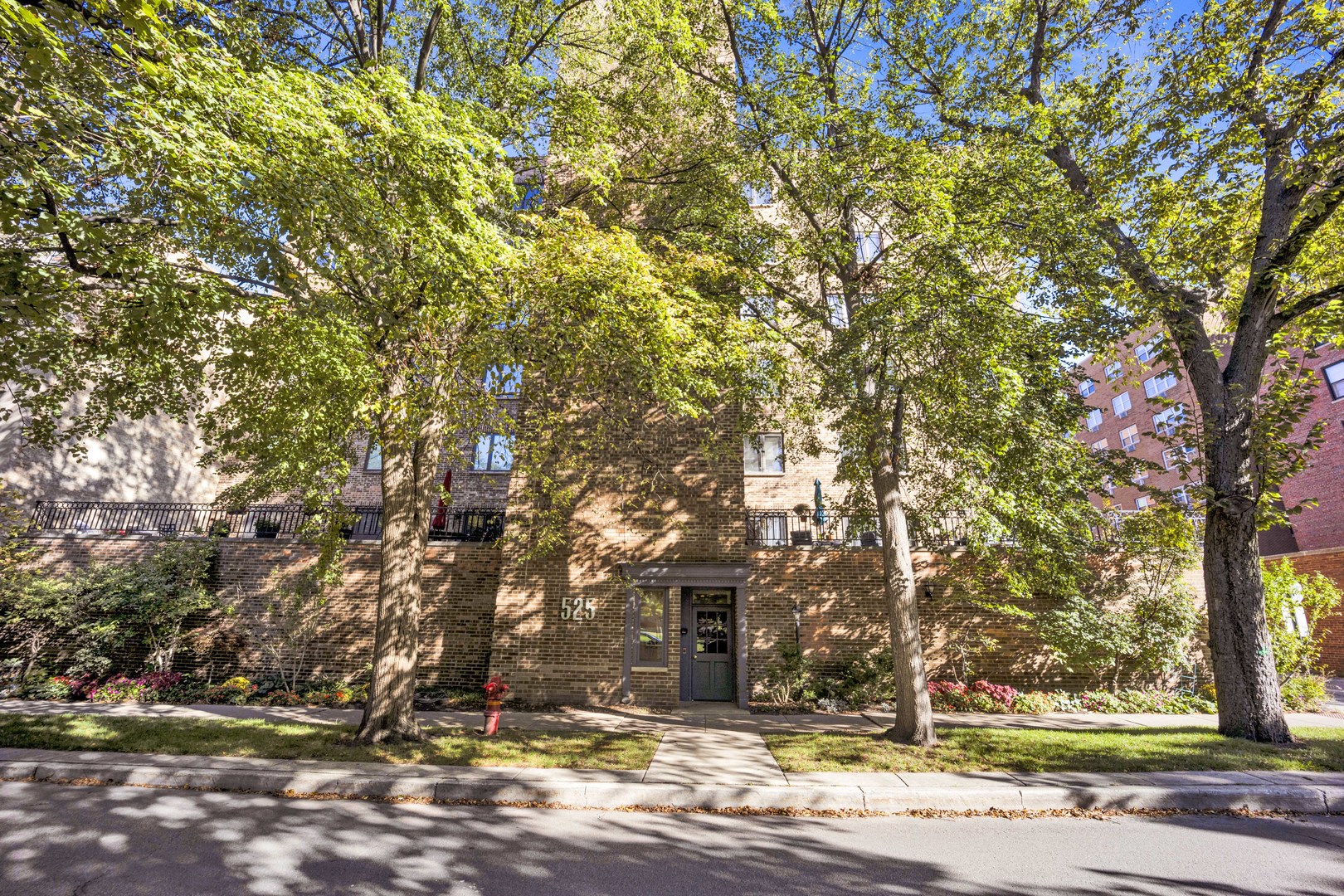525 grove Street 4D