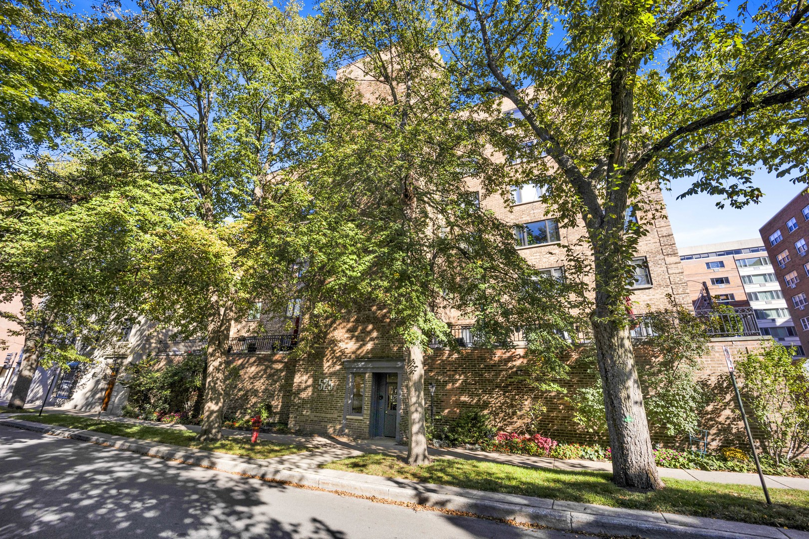 525 grove Street 4D
