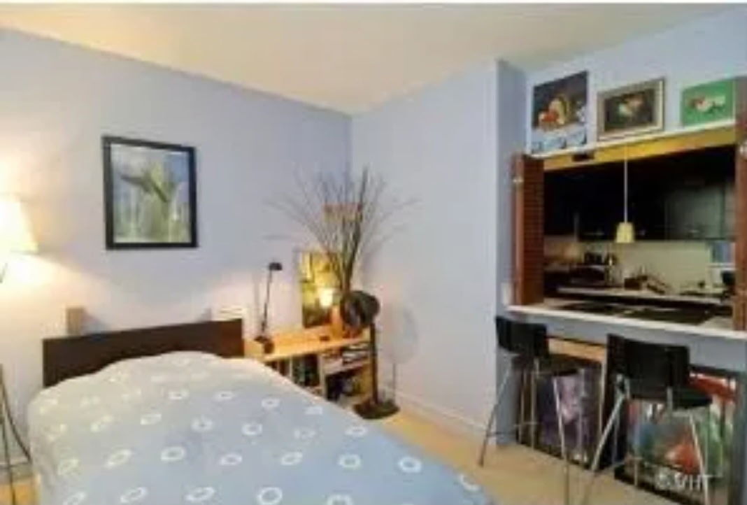 535 N MICHIGAN Avenue 302