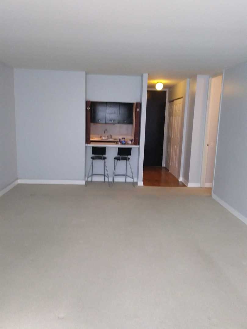 535 N MICHIGAN Avenue 302