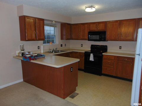 Tiny photo for 44 Bud Road, Alto Pass, IL 62905 (MLS # EB460797)