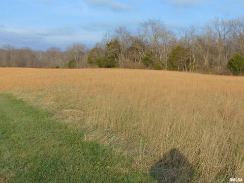 Tiny photo for 44 Bud Road, Alto Pass, IL 62905 (MLS # EB460797)