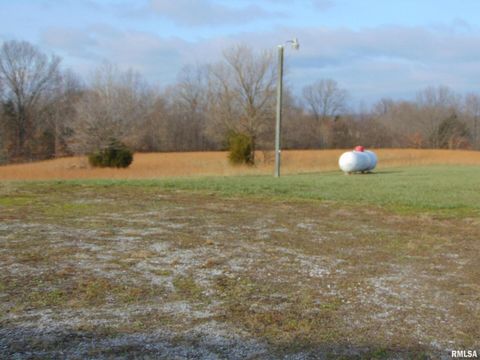 Tiny photo for 44 Bud Road, Alto Pass, IL 62905 (MLS # EB460797)