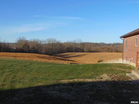 Tiny photo for 44 Bud Road, Alto Pass, IL 62905 (MLS # EB460797)