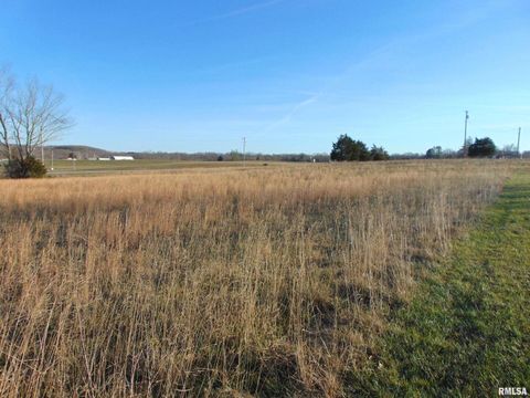 Tiny photo for 44 Bud Road, Alto Pass, IL 62905 (MLS # EB460797)