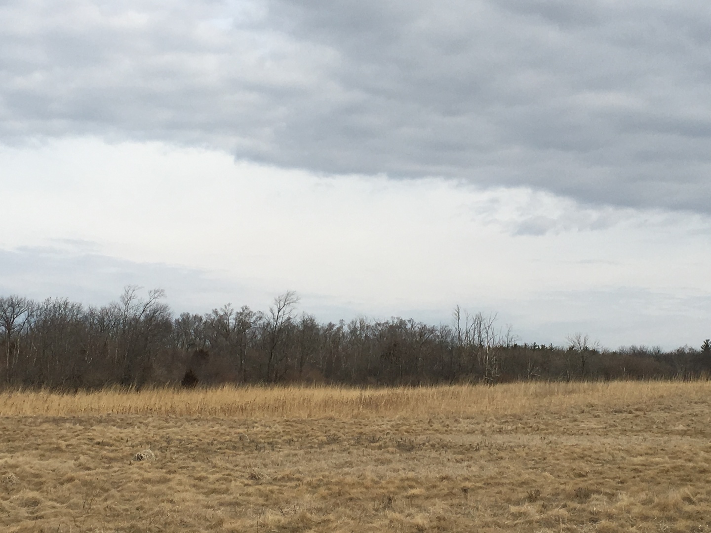 Lot #39 E LONGWOOD Drive