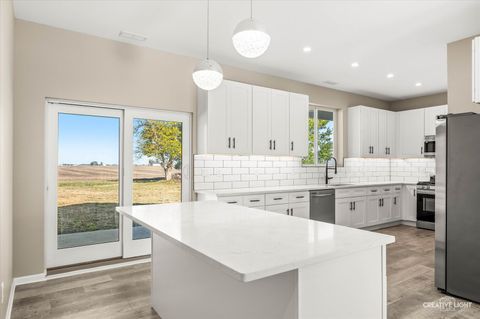 Tiny photo for 121 Pine Street, Buckingham, IL 60917 (MLS # 12508480)