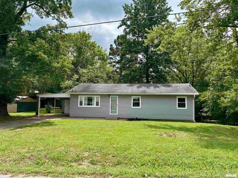 Photo of 1275 E PARK Street, Carbondale, IL 62901 (MLS # EB459361)