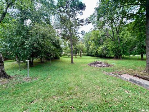 Tiny photo for 1275 E PARK Street, Carbondale, IL 62901 (MLS # EB459361)