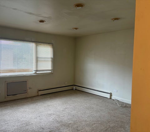 Tiny photo for 214 S Oak Park Avenue S #5, Oak Park, IL 60302 (MLS # 12636270)