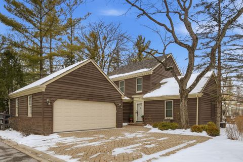Photo of 9 Court of Connecticut River Valley, Lincolnshire, IL 60069 (MLS # 12561155)