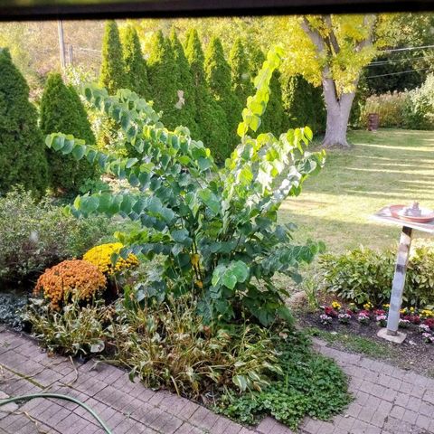 Tiny photo for 308 Sheldon Avenue, Downers Grove, IL 60515 (MLS # 12090004)