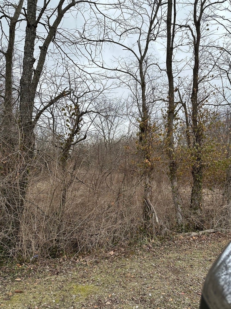 Lot 1 Pecan Road