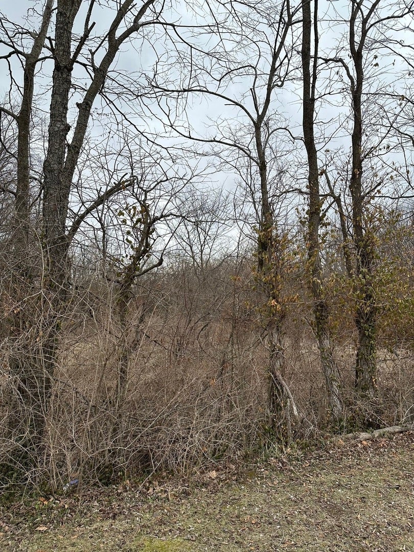 Lot 1 Pecan Road