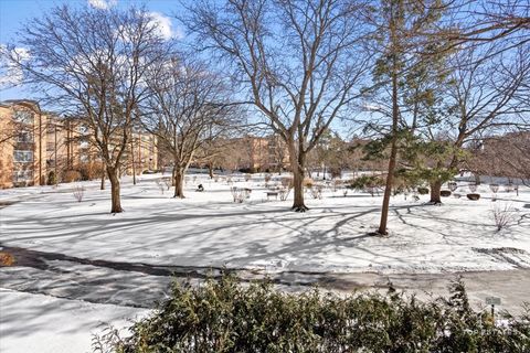 Tiny photo for 1107 S OLD WILKE Road #208, Arlington Heights, IL 60005 (MLS # 12581805)